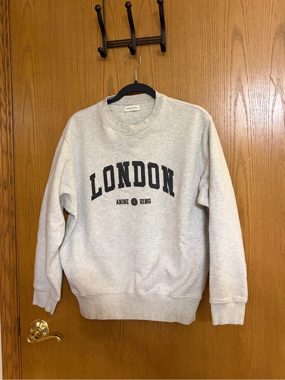 anine bing sweatshirt